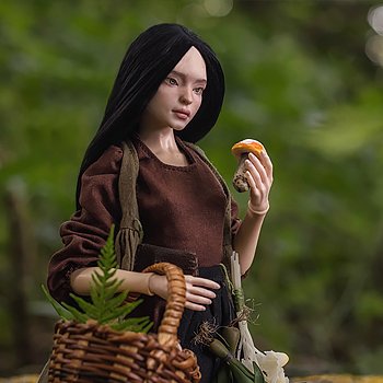 В лес, по грибы