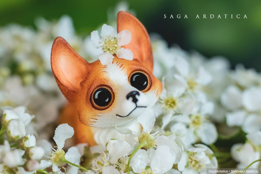 Алинка в зарослях черемухи (фото 8)