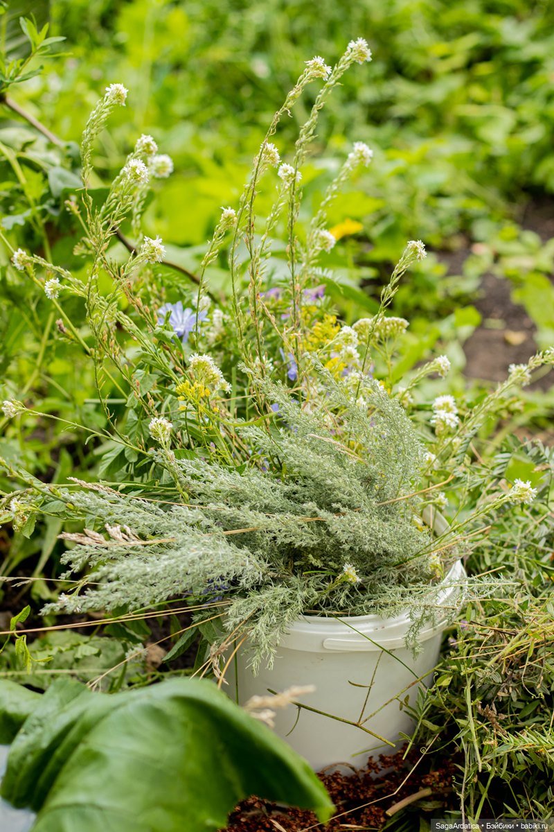 Что нам стоит пруд построить (фото 4)