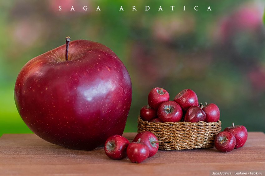 Красные яблочки — Кукольная миниатюра своими руками: еда