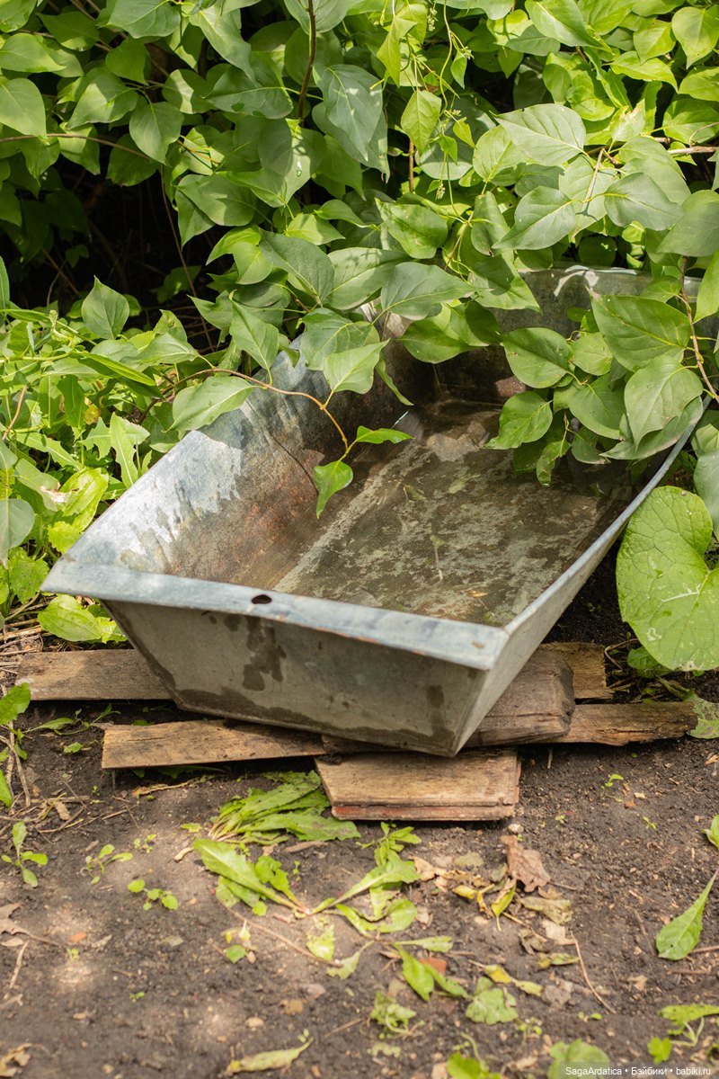 Что нам стоит пруд построить (фото 2)