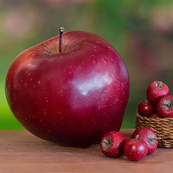 Красные яблочки