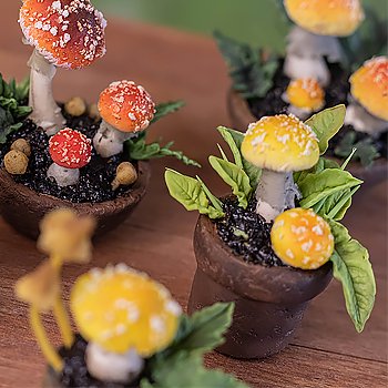 Мухоморная рассада