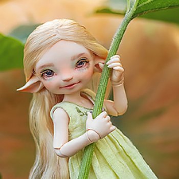 Паночка и тыквы