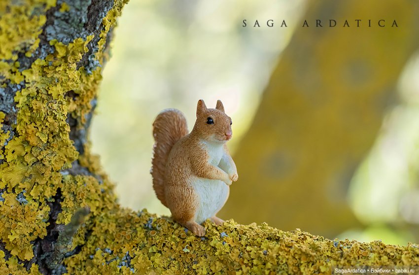 Паночка — Куклы Fairyland (ФэйриЛэнд): BJD (БЖД) (фото 6)