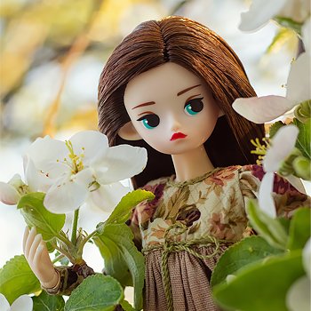 Яблоневый цвет