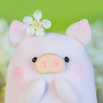 Милое свинство