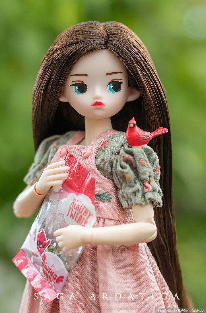 Бьяка и птички — Куклы Strawberry Planet: Redberry (фото 2)