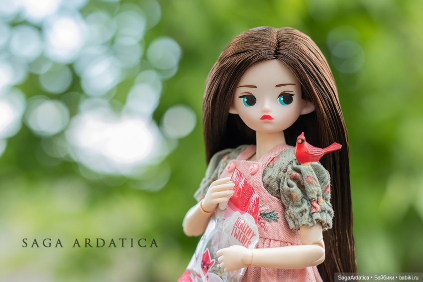 Бьяка и птички — Куклы Strawberry Planet: Redberry