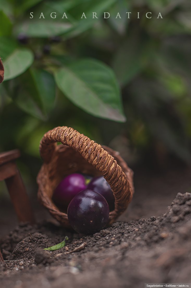 Летние хлопоты — Куклы Fairyland (ФэйриЛэнд): BJD (БЖД) (фото 5)