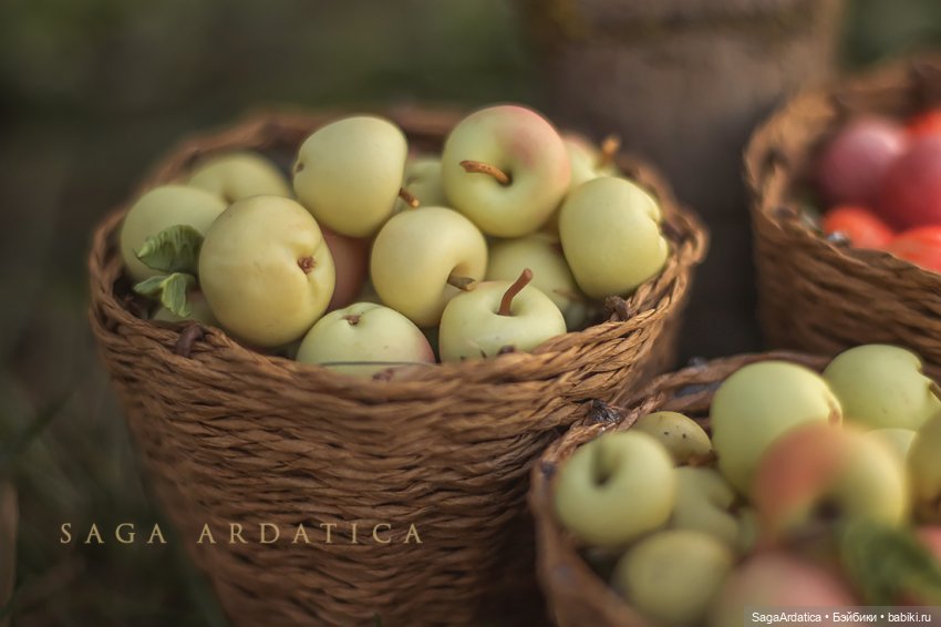 Яблоневый сад — Фотоистории с куклами BJD (БЖД): сериалы (фото 8)