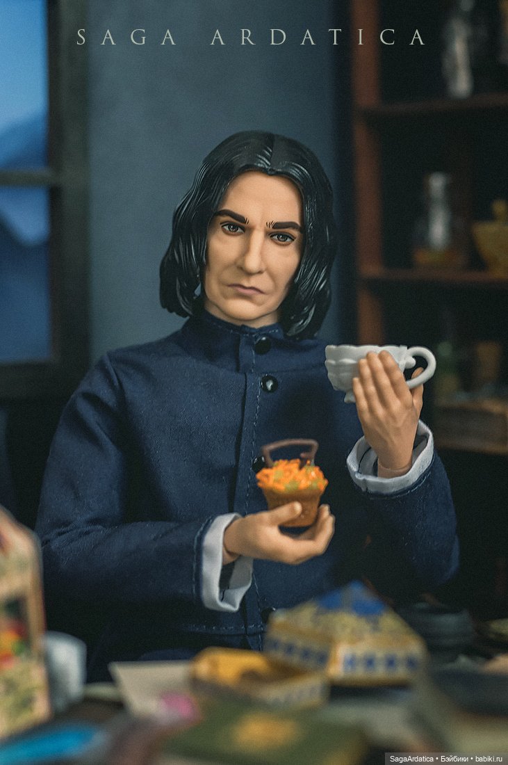 Профессор Снейп — Куклы Harry Potter (Гарри Поттер) Mattel: Wizarding World