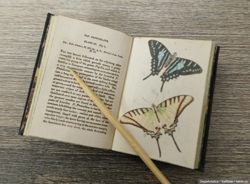 В библиотеке | Бэйбики В библиотеке — Куклы Integrity Toys (Интегрити): Poppy Parker (фото 5)