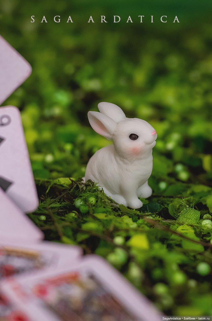 Бьяка в стране чудес — Куклы Strawberry Planet: Redberry (фото 4)