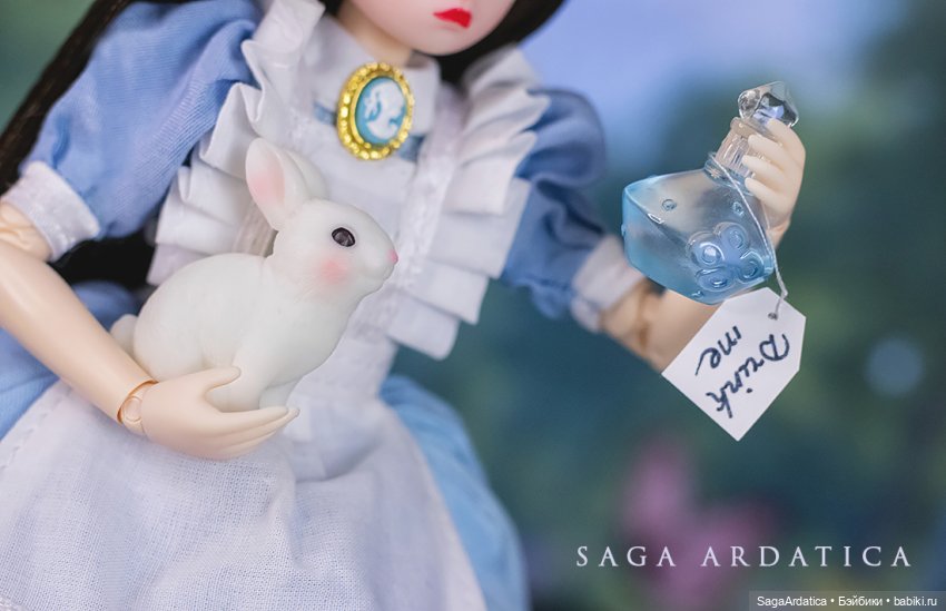 Бьяка в стране чудес — Куклы Strawberry Planet: Redberry (фото 7)