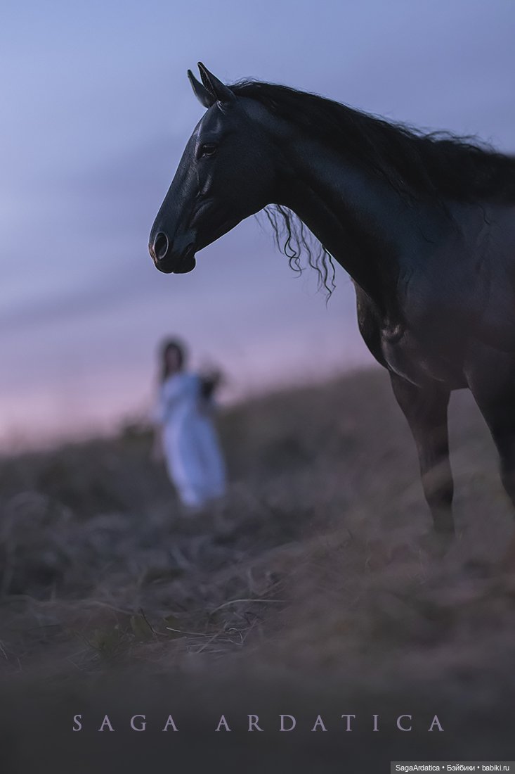 Уводящая скот — Фотоистории с куклами BJD (БЖД): сериалы (фото 2)