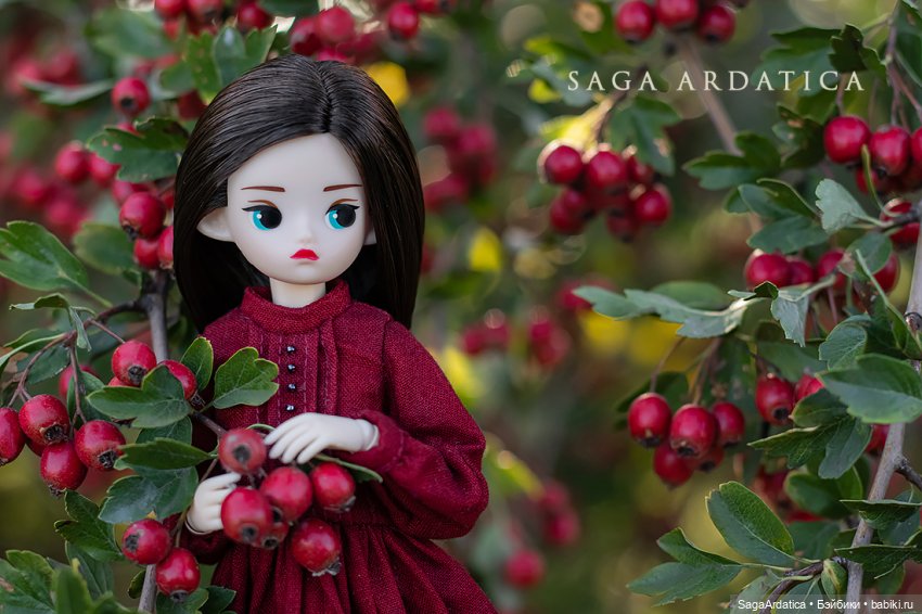 Боярышня — Куклы Strawberry Planet: Redberry (фото 3)
