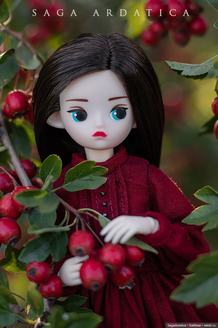 Боярышня — Куклы Strawberry Planet: Redberry (фото 2)