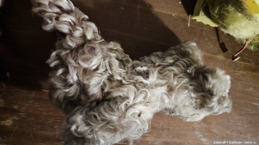 Таким я его нашла.