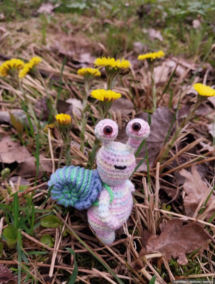 Первая прогулка улитки Вуди (фото 2)