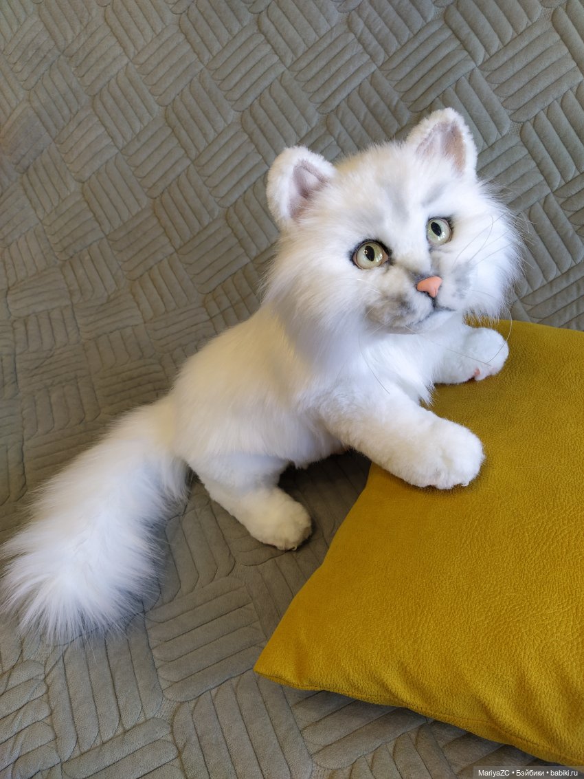 Белый пушистый кот станет отличным предметом интерьера!