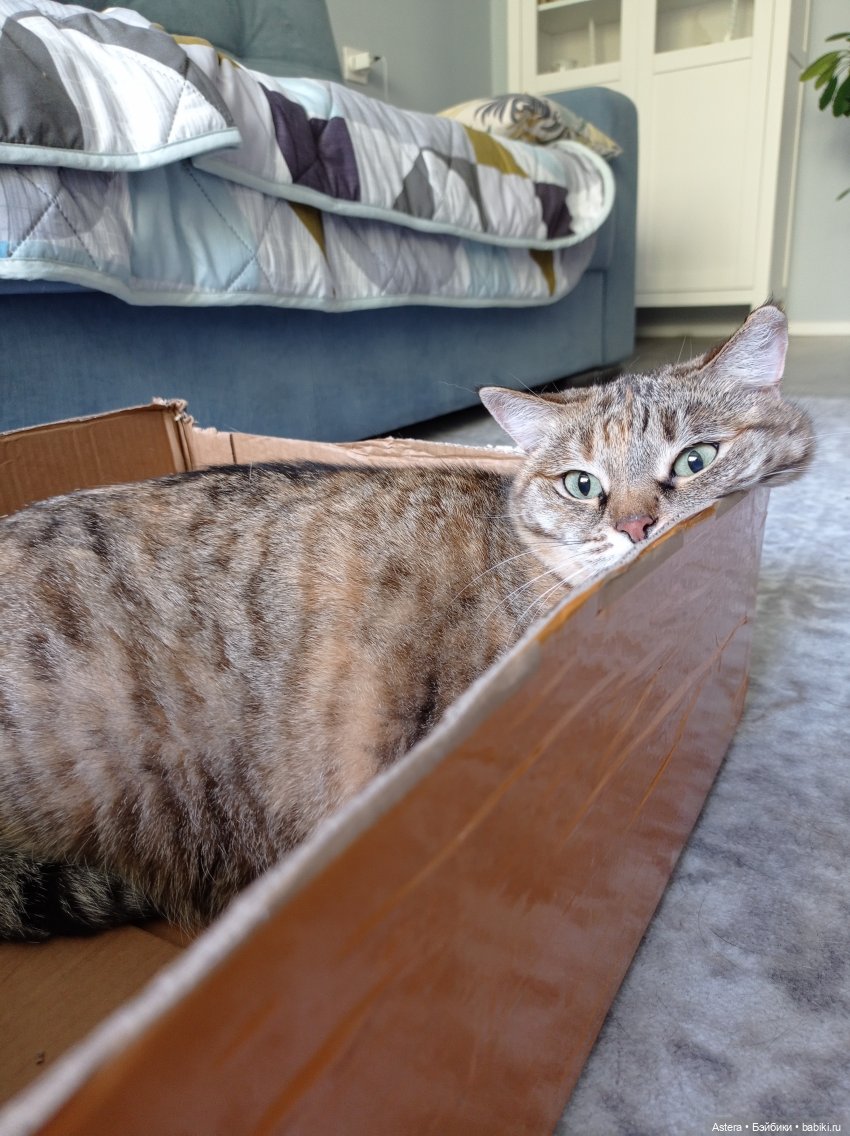 DAFTOYS X WEstudio F014 Pianist 1900 Tim Roth