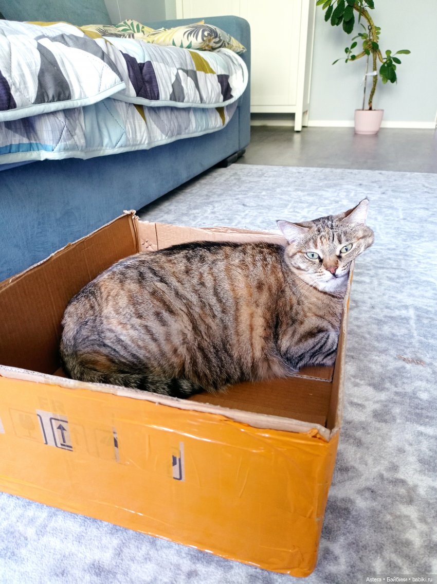 DAFTOYS X WEstudio F014 Pianist 1900 Tim Roth