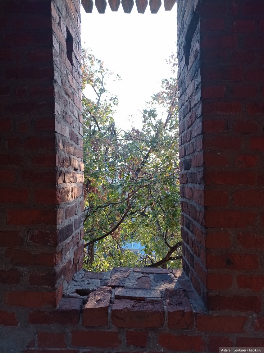 Прогулка по Нижегородскому Кремлю (фото 7)