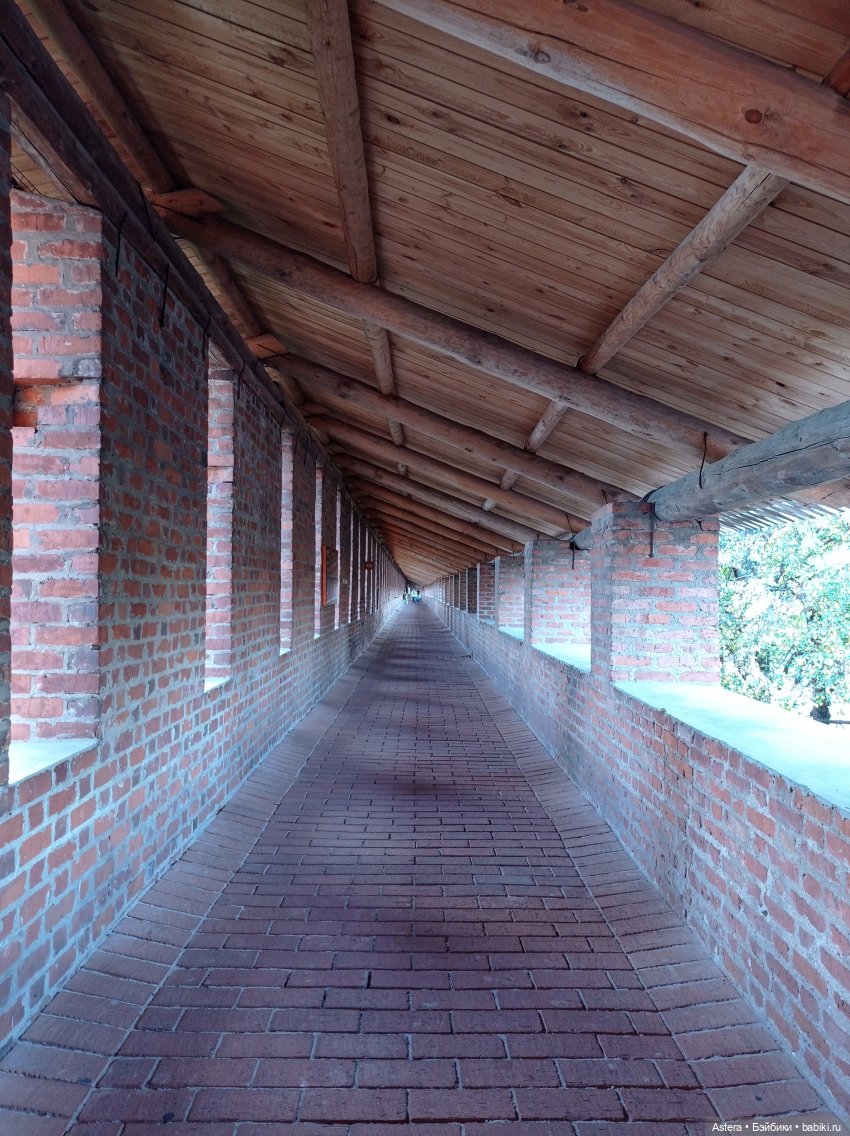 Прогулка по Нижегородскому Кремлю (фото 10)