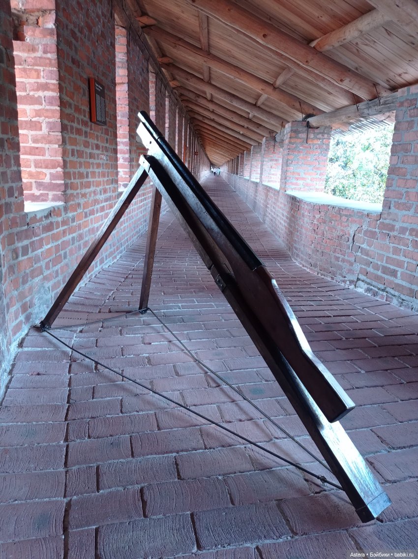 Прогулка по Нижегородскому Кремлю (фото 3)