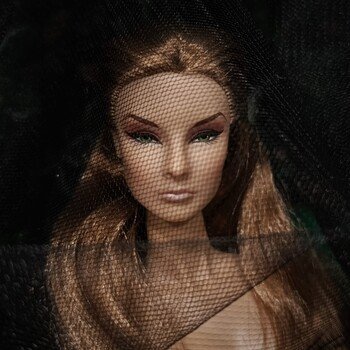 Ее величество Giselle Diefendorf