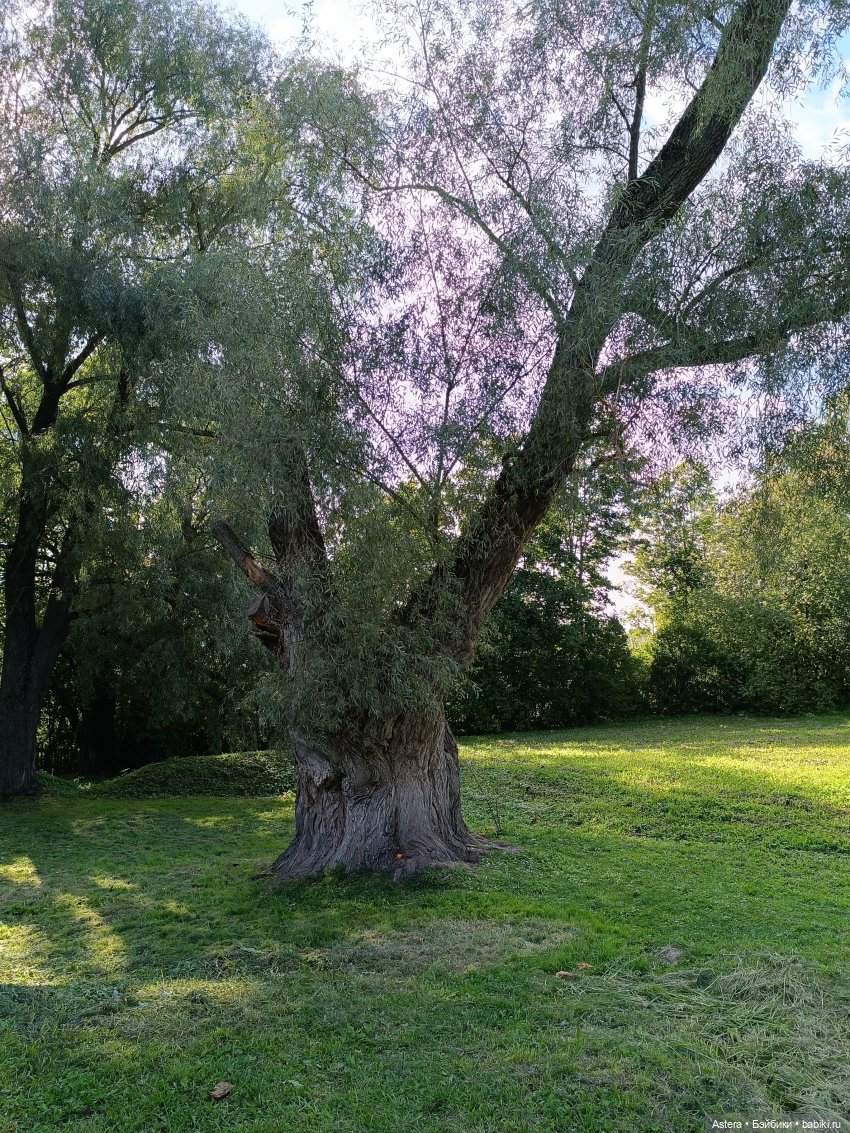 Проводила лето в с. Большое Болдино