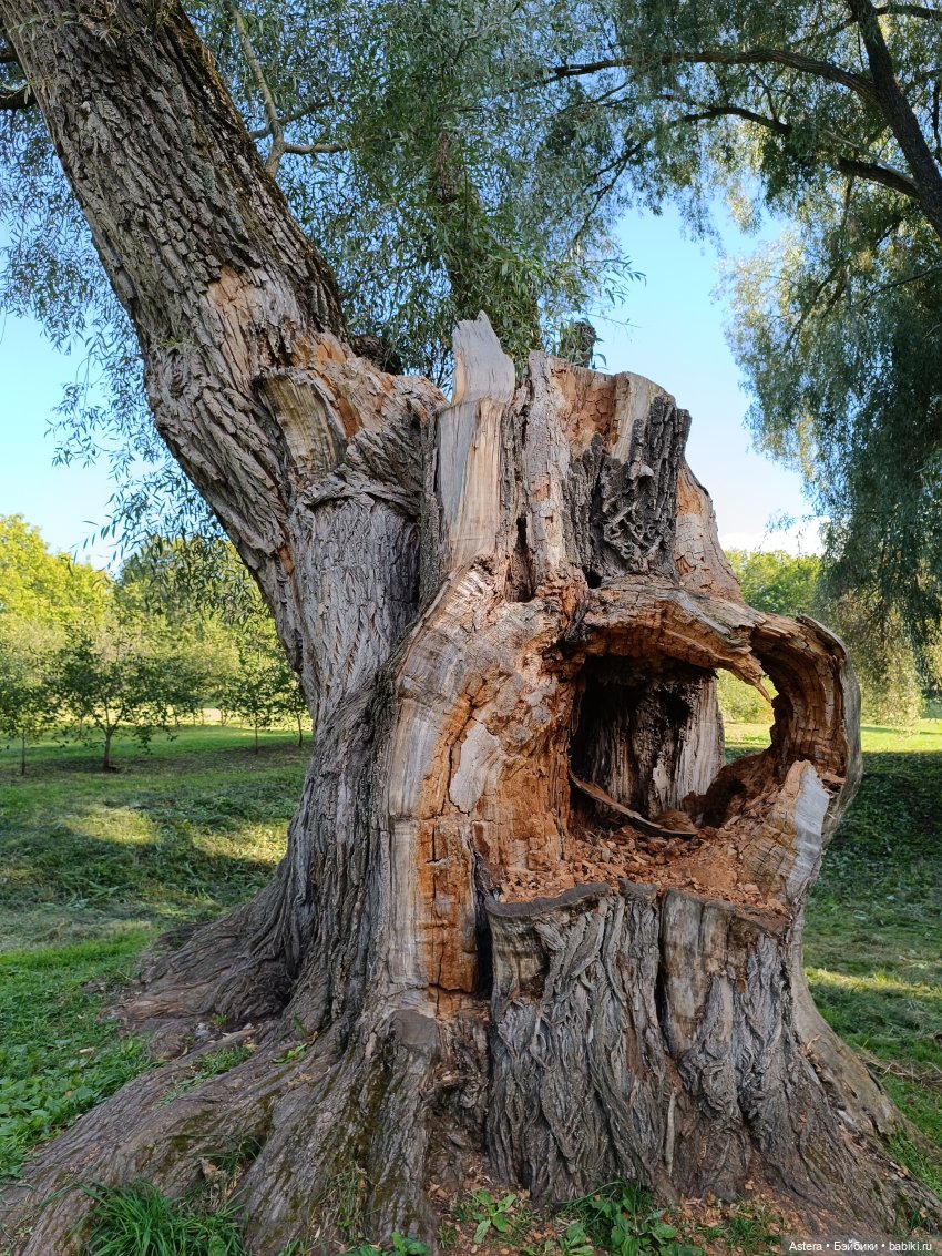 Проводила лето в с. Большое Болдино