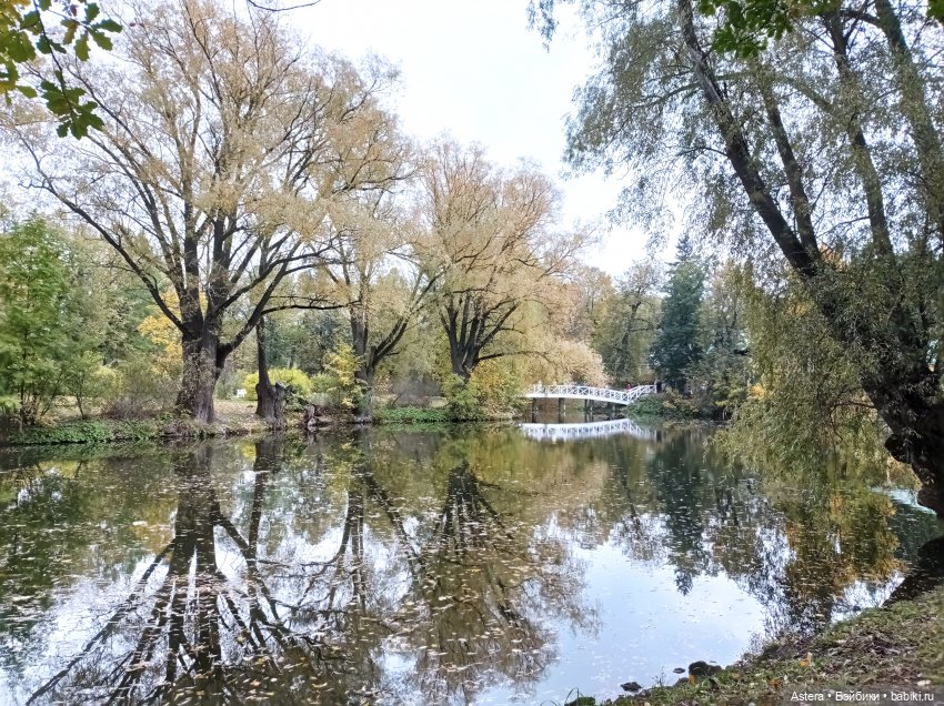 Проводила лето в с. Большое Болдино