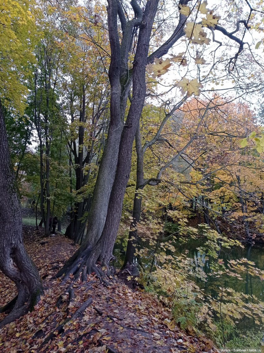 Проводила лето в с. Большое Болдино