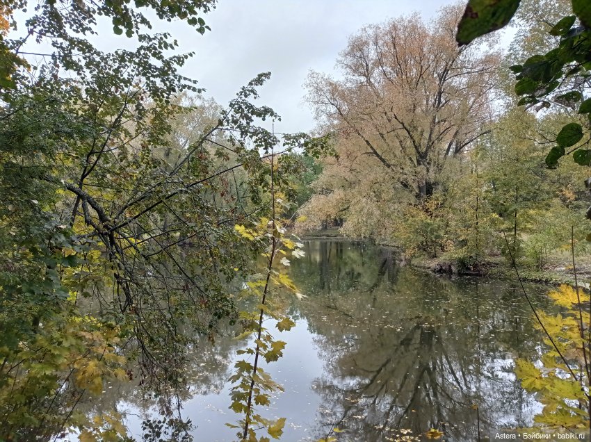 Проводила лето в с. Большое Болдино