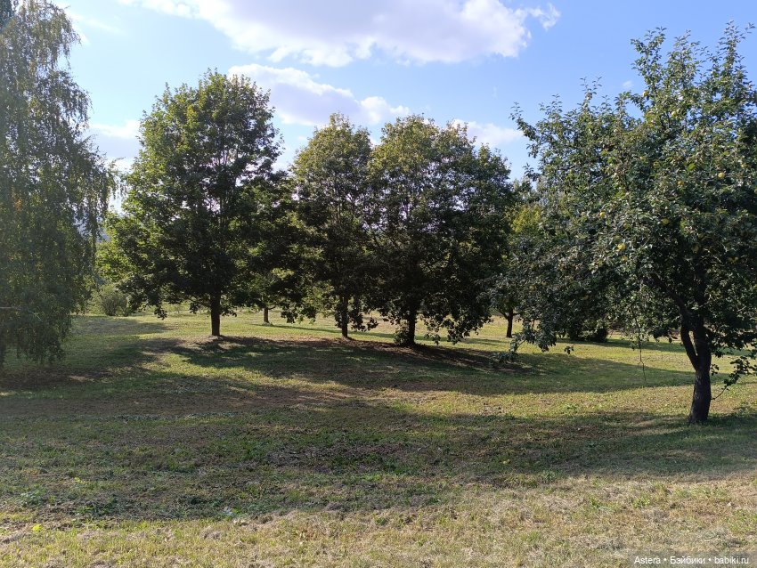 Проводила лето в с. Большое Болдино