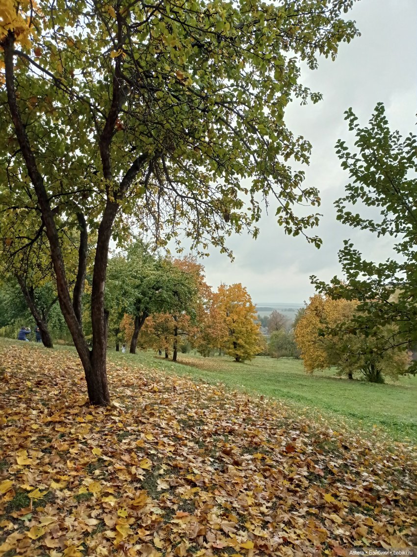 Проводила лето в с. Большое Болдино