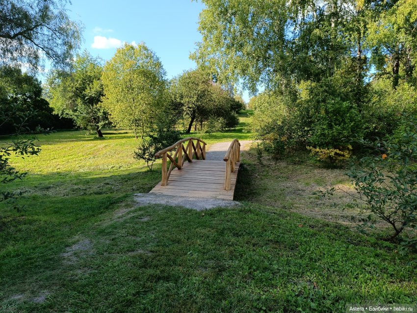 Проводила лето в с. Большое Болдино