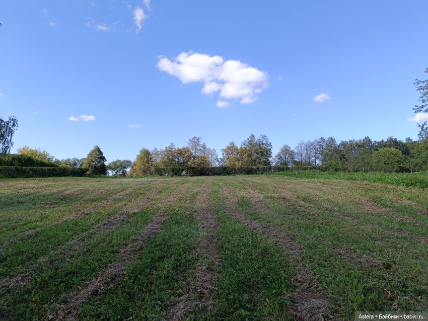 Проводила лето в с. Большое Болдино