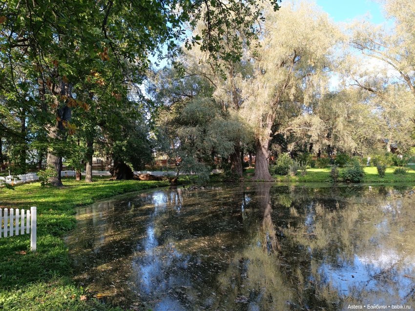 Проводила лето в с. Большое Болдино