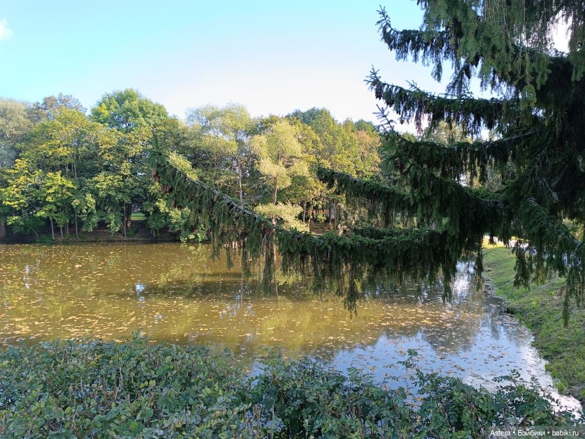 Проводила лето в с. Большое Болдино