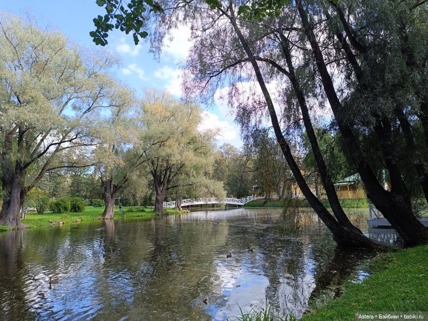 Проводила лето в с. Большое Болдино (фото 10)