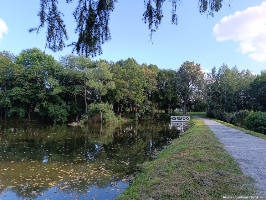 Проводила лето в с. Большое Болдино