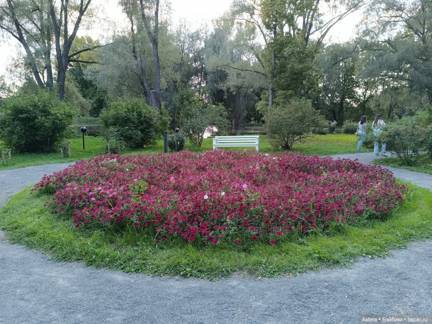 Проводила лето в с. Большое Болдино