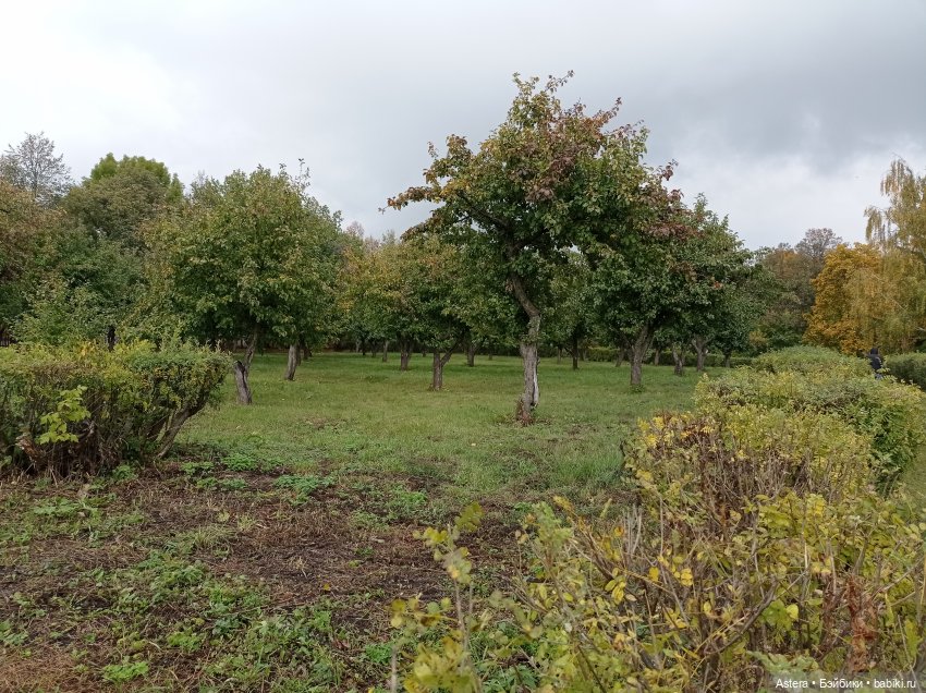 Проводила лето в с. Большое Болдино