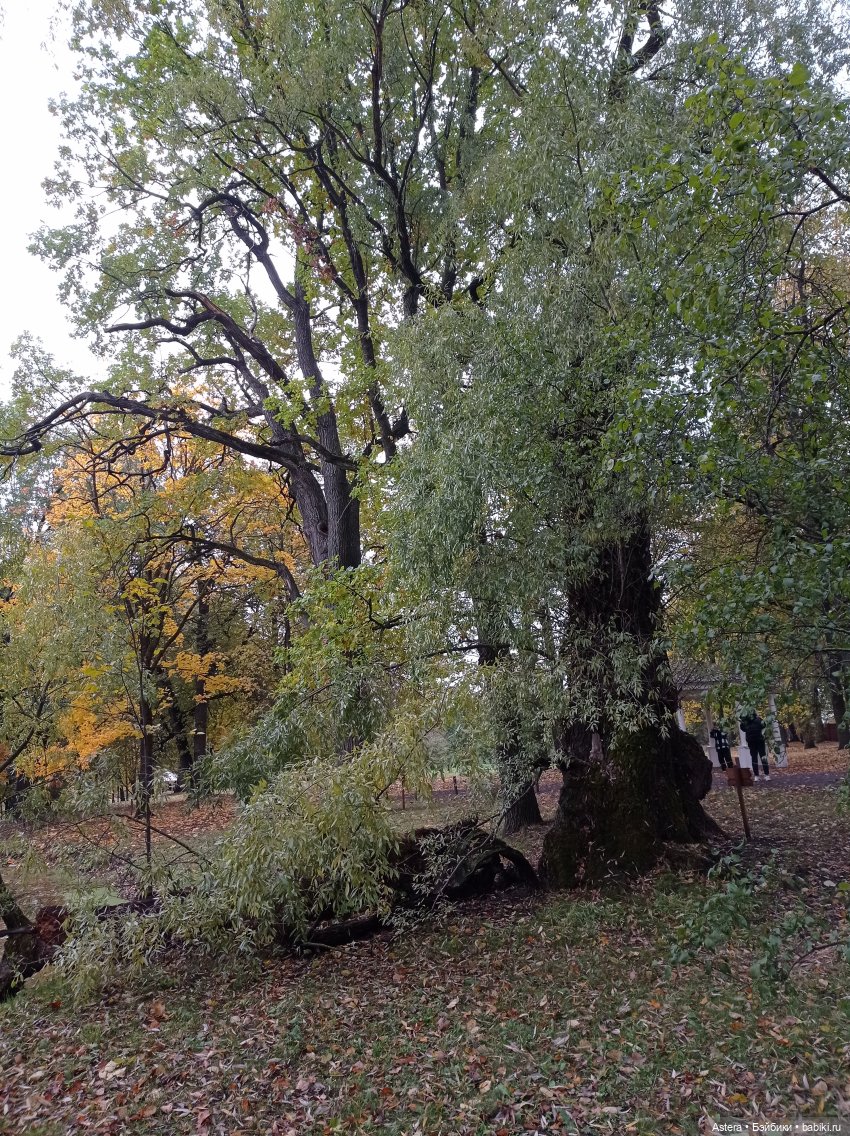 Проводила лето в с. Большое Болдино