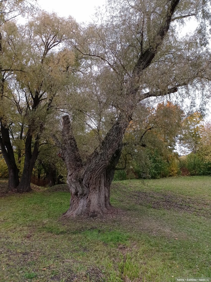 Проводила лето в с. Большое Болдино