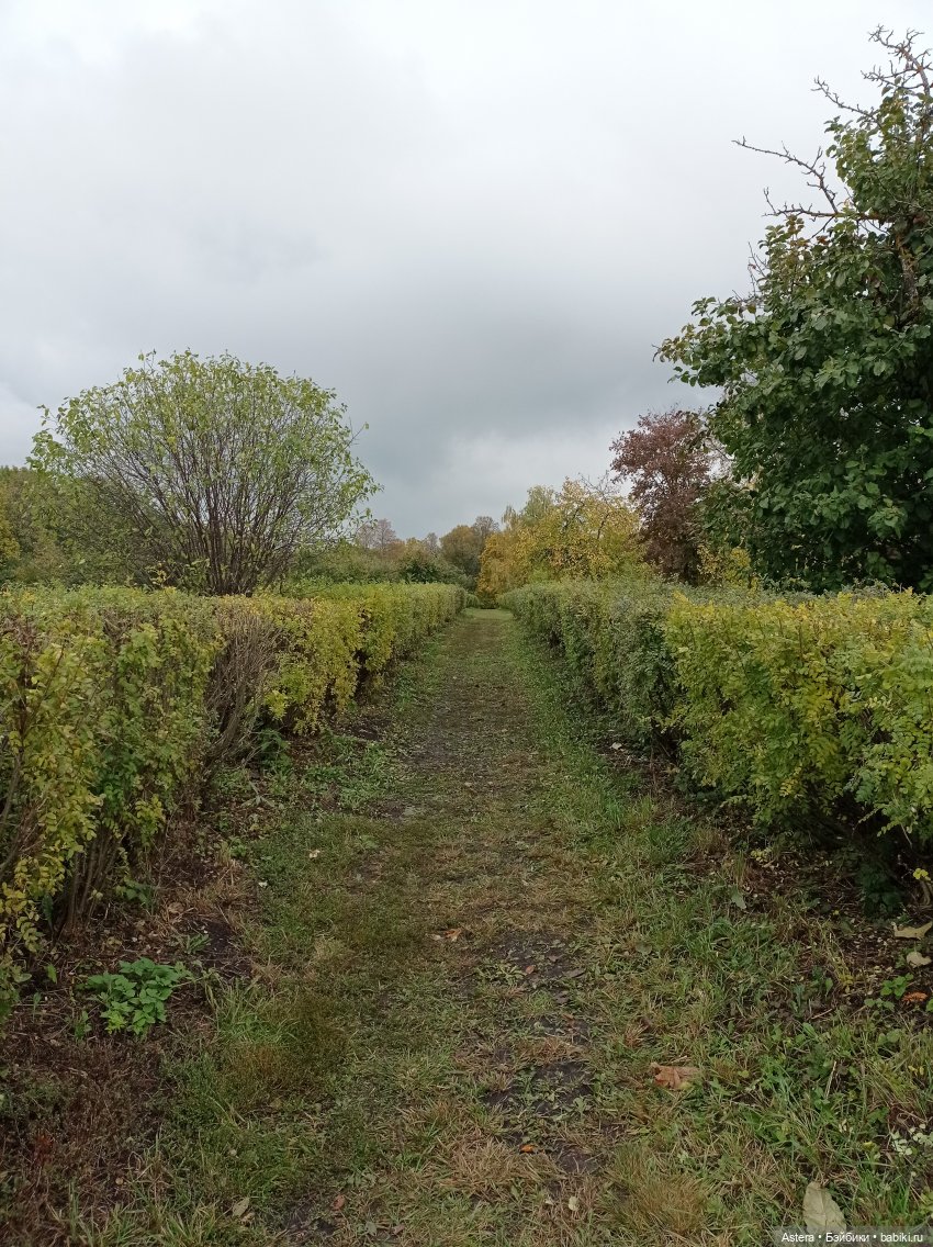Проводила лето в с. Большое Болдино