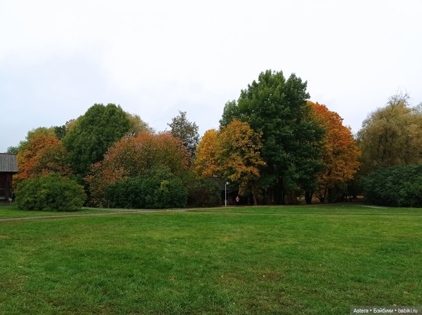 Проводила лето в с. Большое Болдино